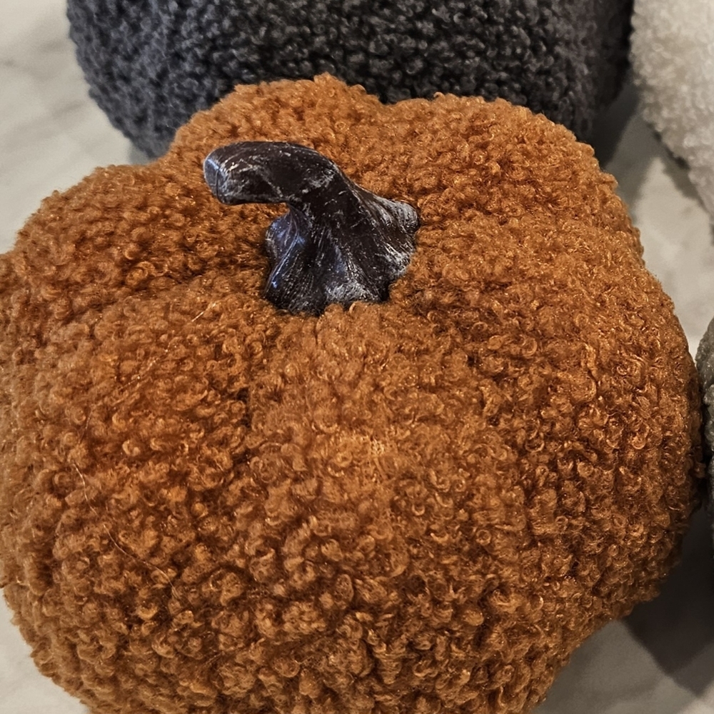 Sherpa Pumpkins Set of 4 Medium - Picture 8 of 13